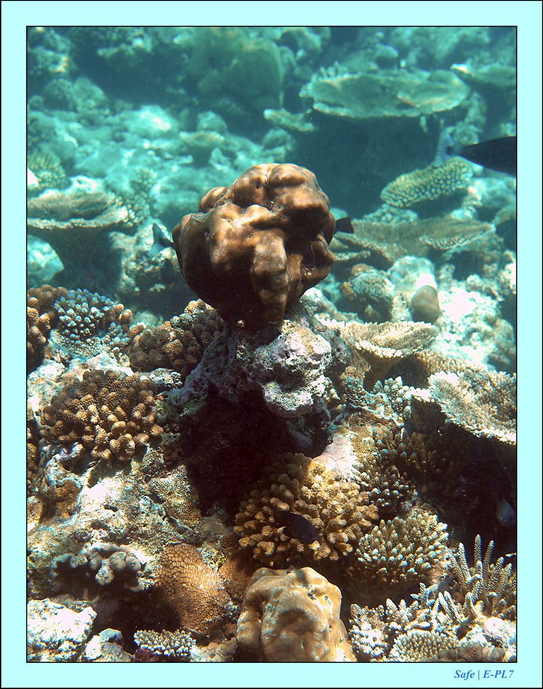 2023 - 07 - Sandies Bathala - 233